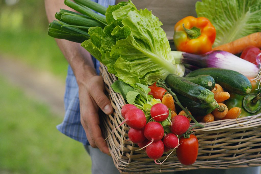 organic-food-for-kids